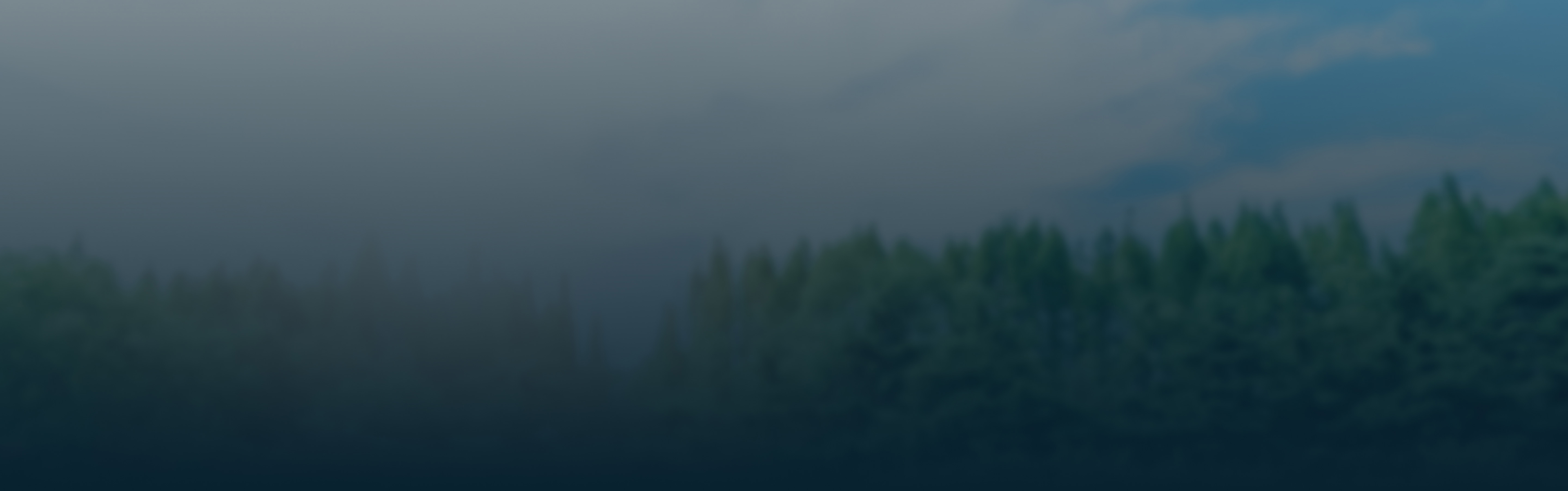 Specifieke categorie