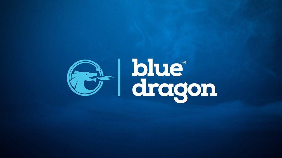 Partner: Blue Dragon - EU Dronebewijs