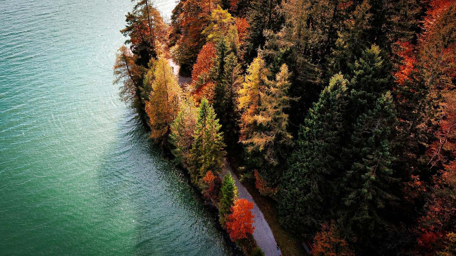 Drone vliegen in de herfst